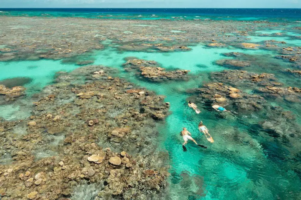 UNESCO Recommends Keeping Great Barrier Reef Off Endangered List, Australia Welcomes Decision
